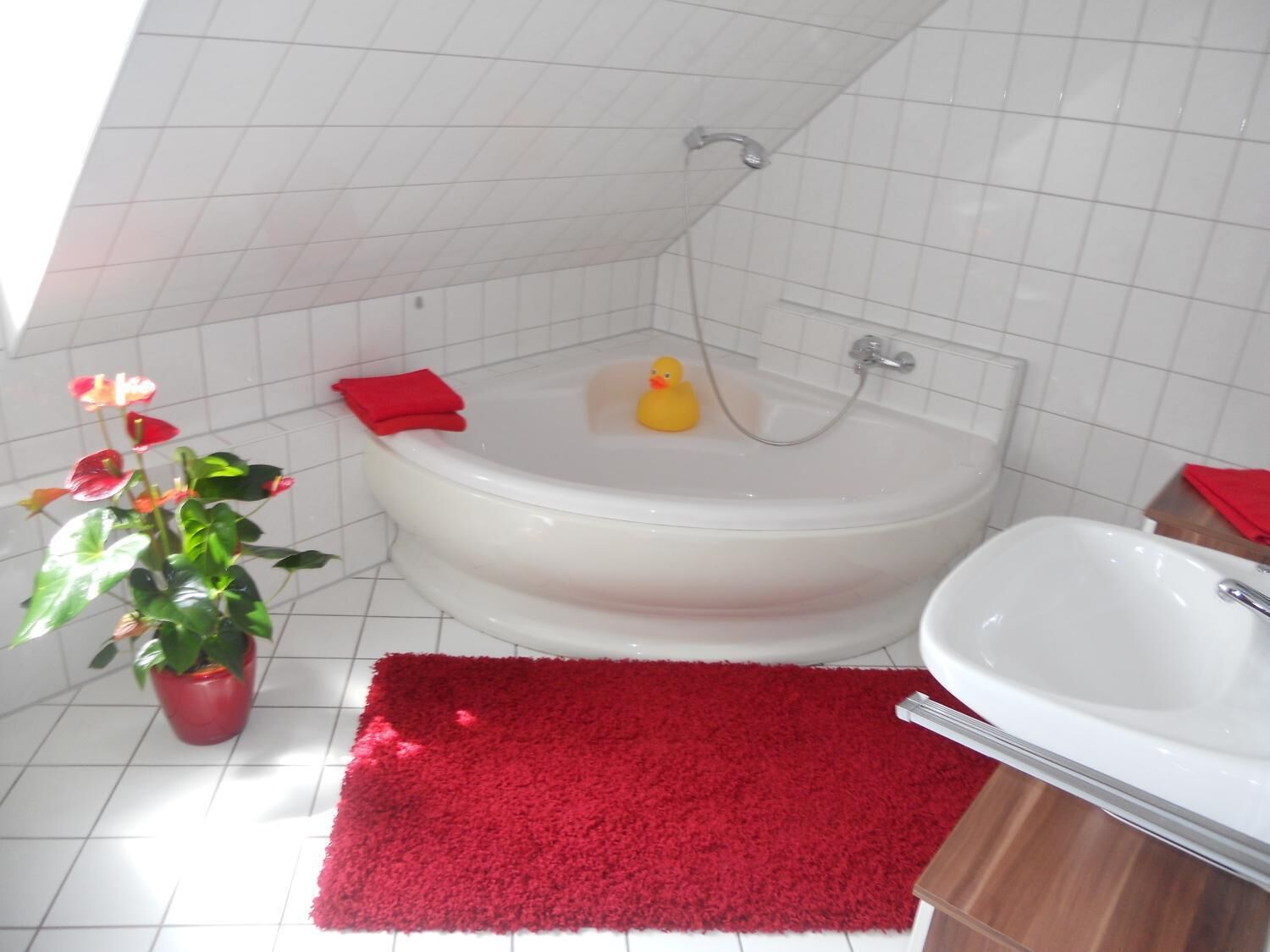 free toiletries, hair dryer, towels