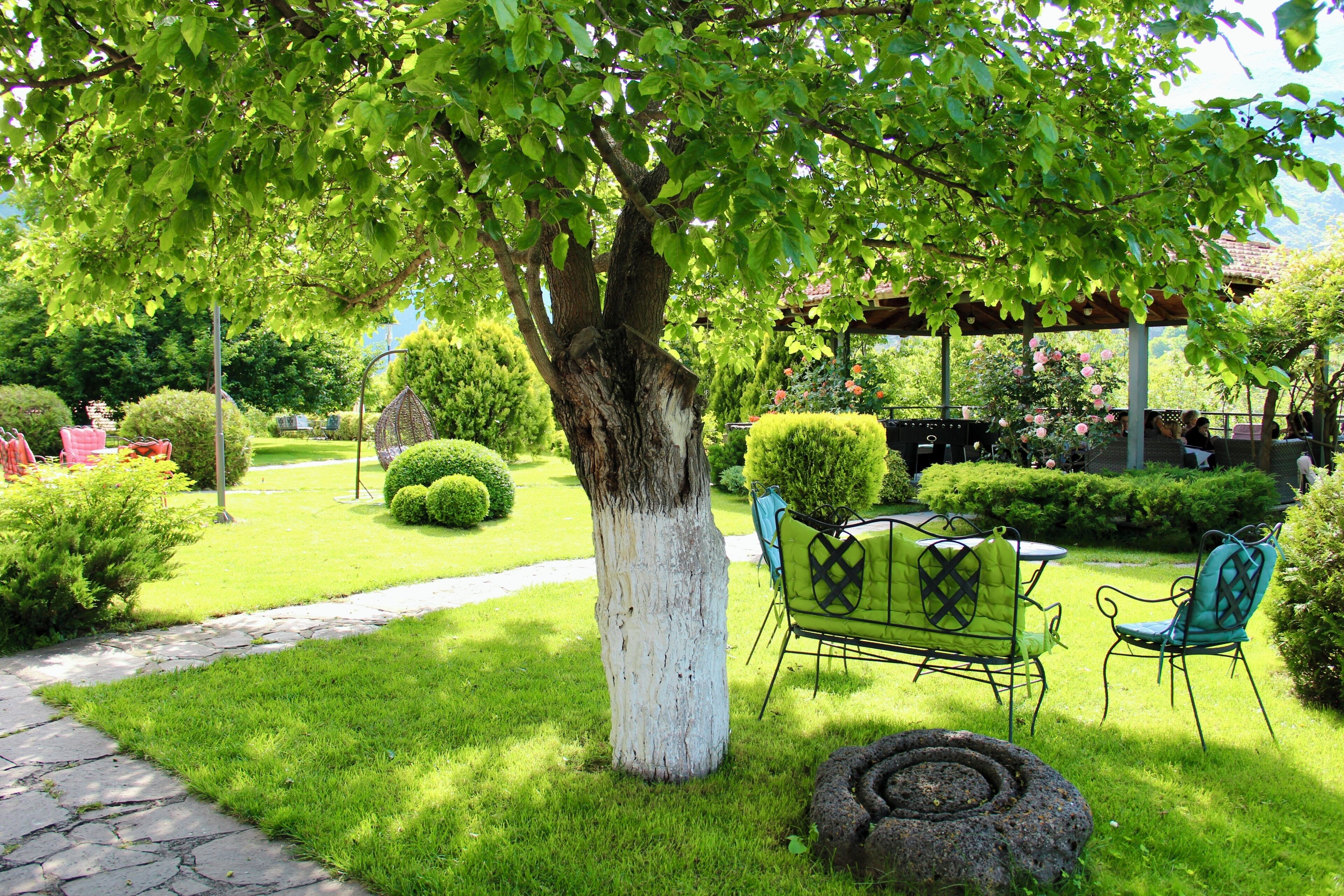 Un jardín con un árbol, un sendero de piedra y mobiliario exterior.
