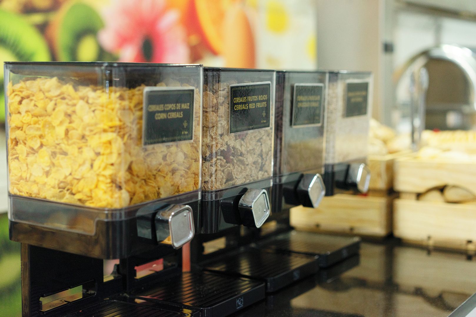 Four labeled containers of cereal on a shelf.