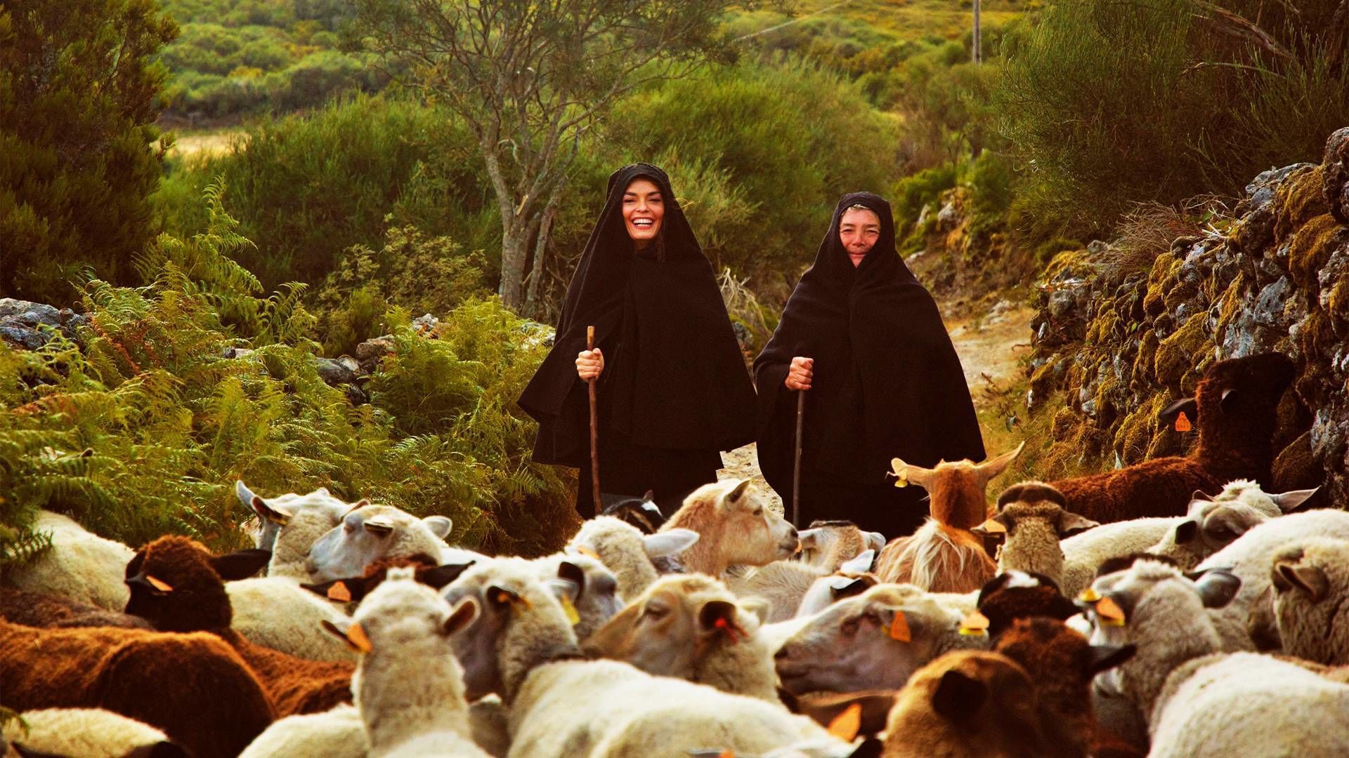 Dos personas guiando un rebaño de ovejas en un paisaje natural y verde.