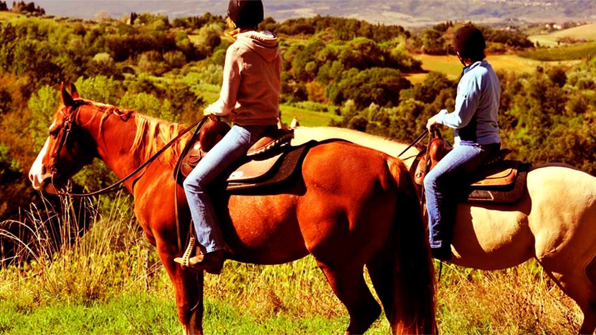 Two people riding horses in a grassy field with trees in the background.