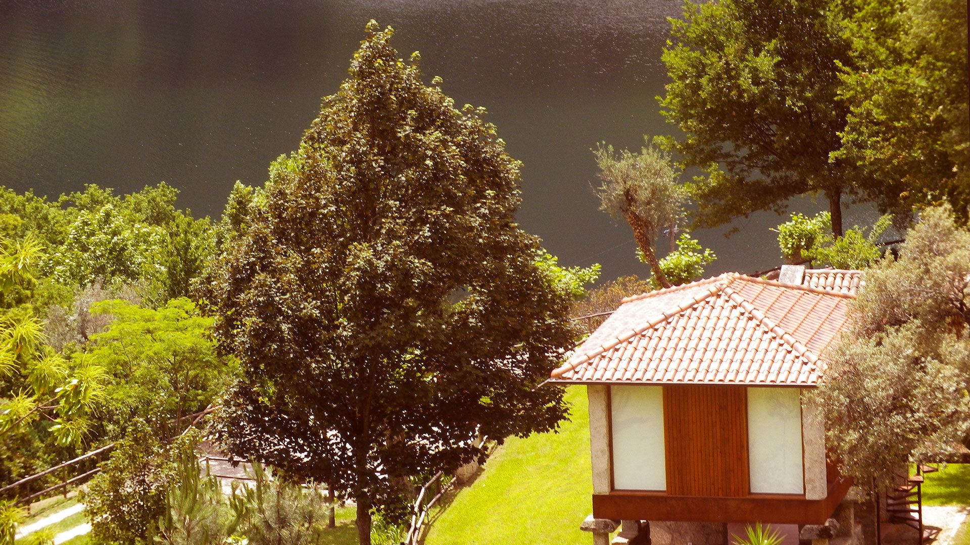 A small house with a tiled roof, surrounded by lush greenery and a body of water.