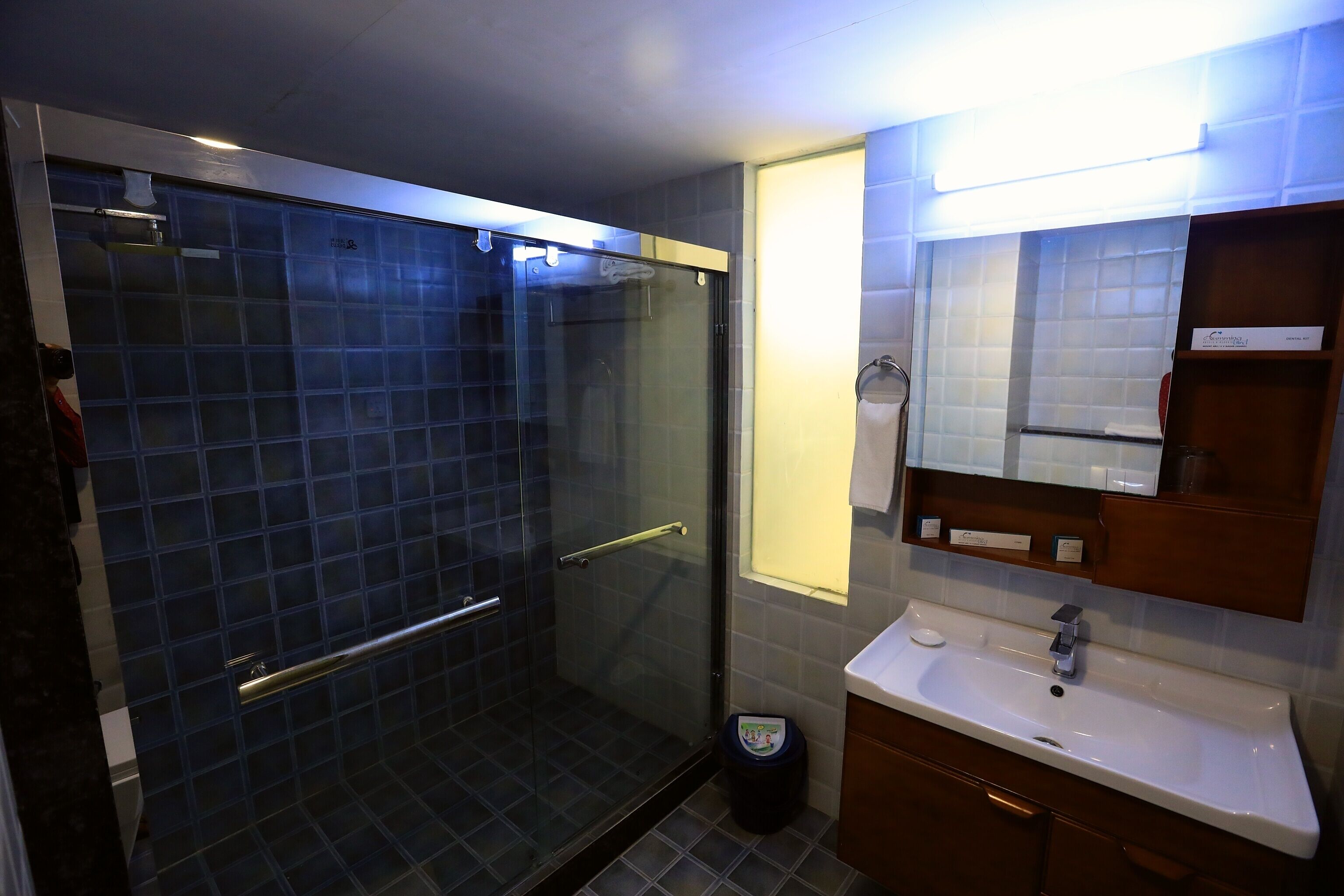 A modern bathroom with a glass shower enclosure, a sink with a mirror, and a small trash bin.