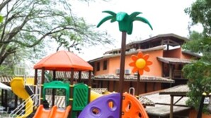 Een speeltuin met kleurrijke glijbanen en een palmboomdecoratie.