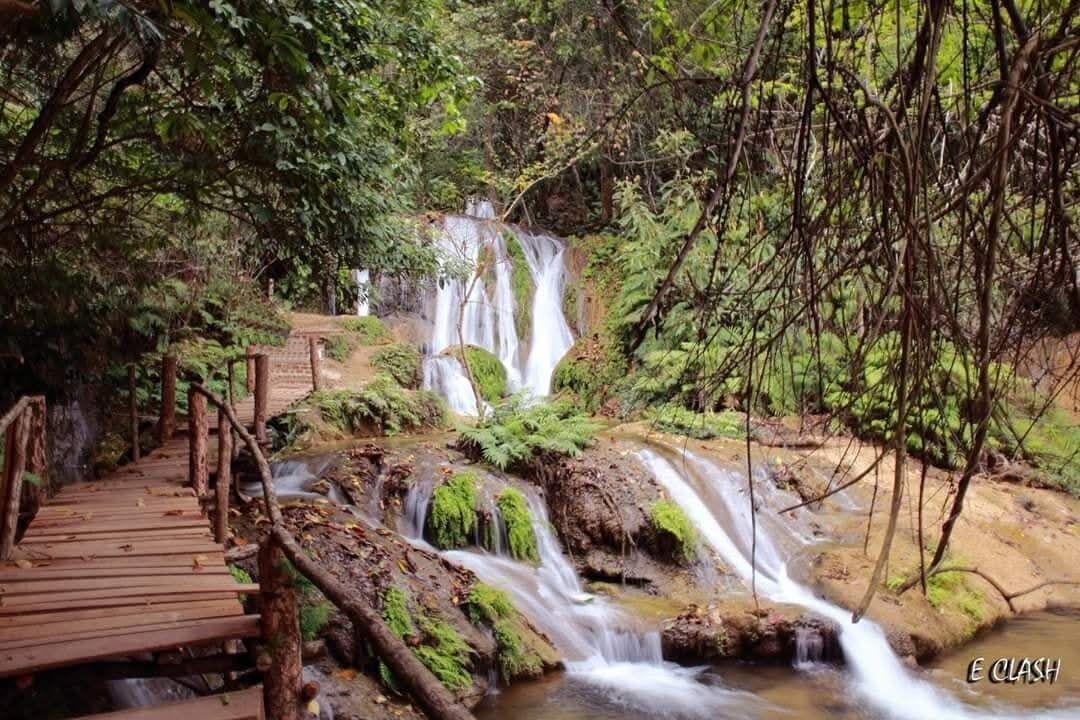 A wooden bridge leading to a waterfall surrounded by dense greenery.