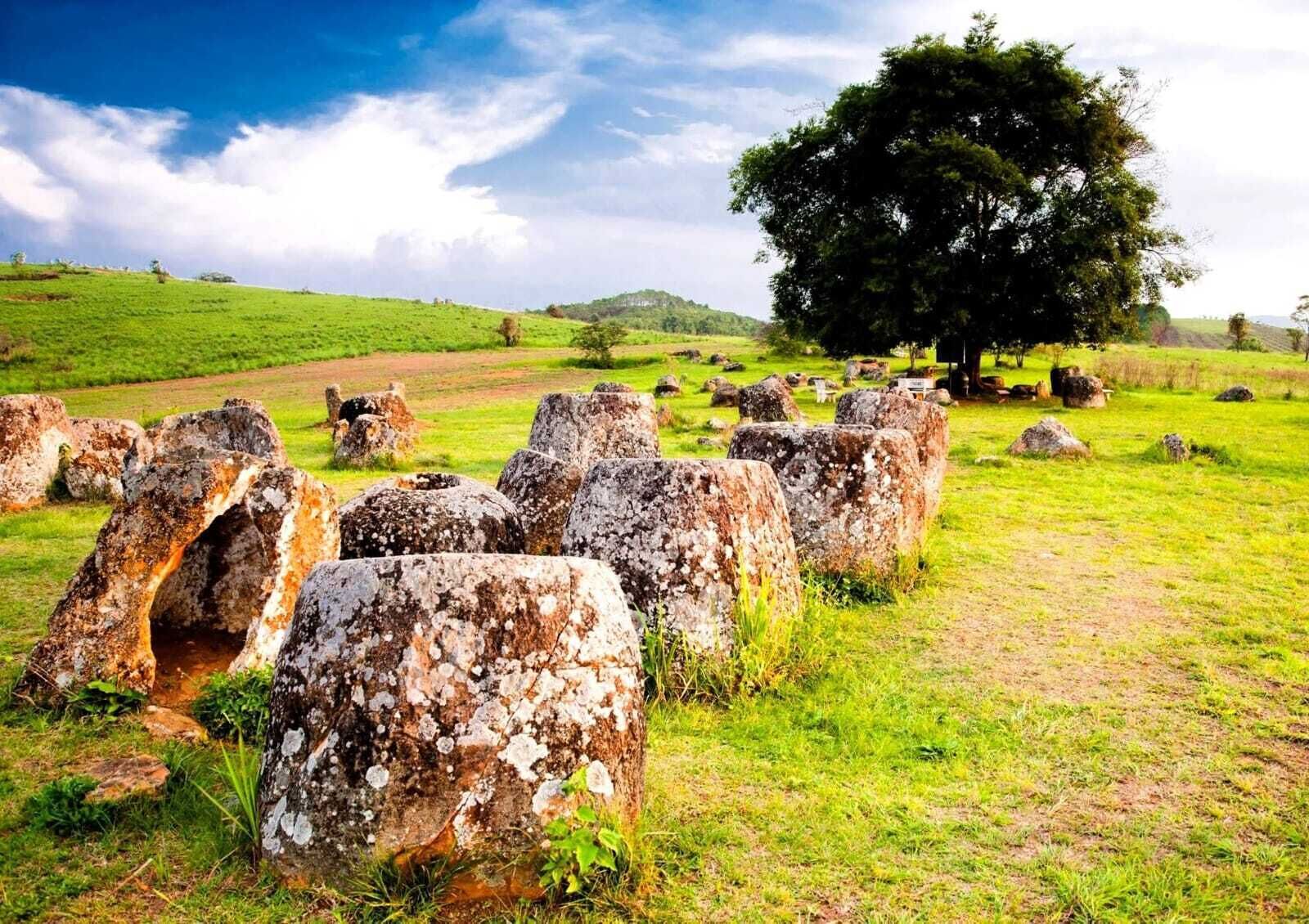 A field of ancient standing stones with a large tree in the background.