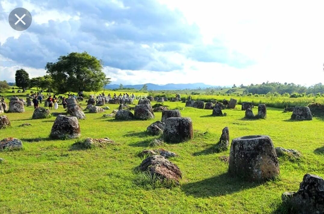 A field of standing stones with a large tree in the background.