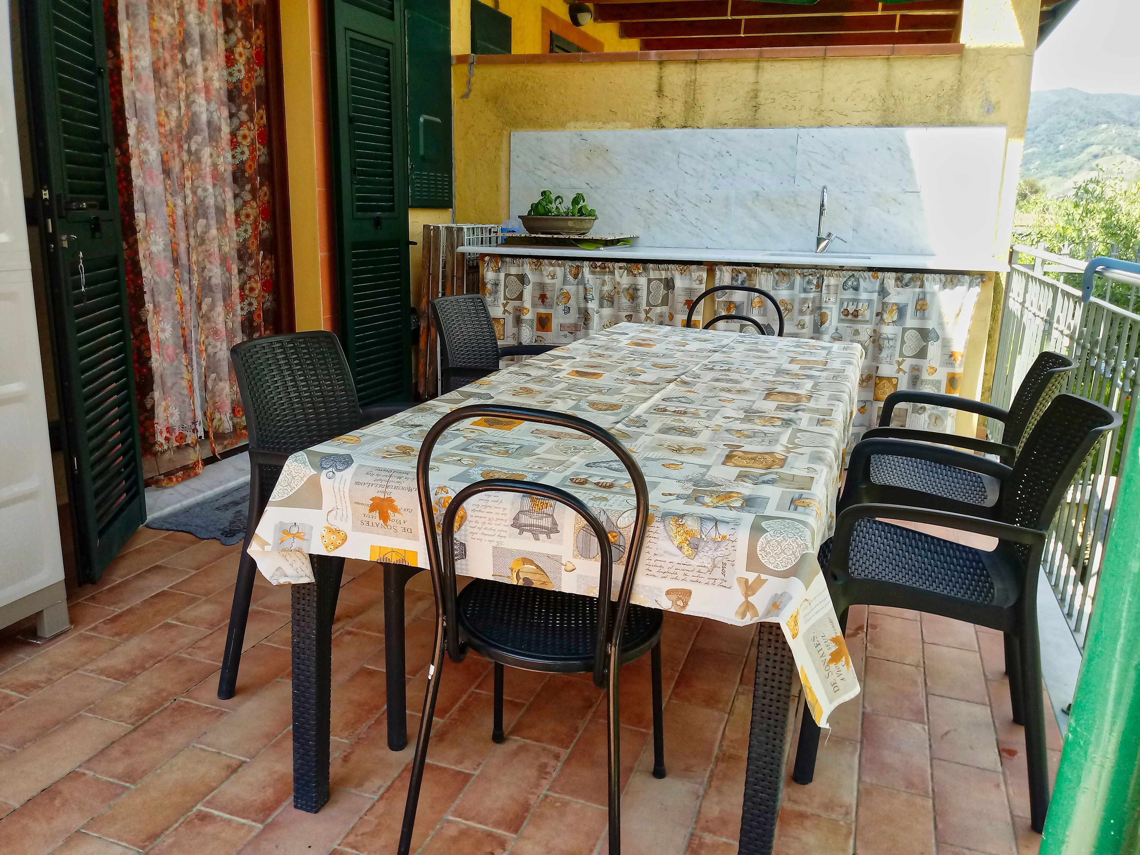 A patio with a table covered in a patterned tablecloth, surrounded by chairs, and a kitchen area with a sink and a plant.