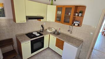 A compact kitchen with a gas stove, oven, and a sink. There are cabinets with glass doors and a small shelf with a plant.