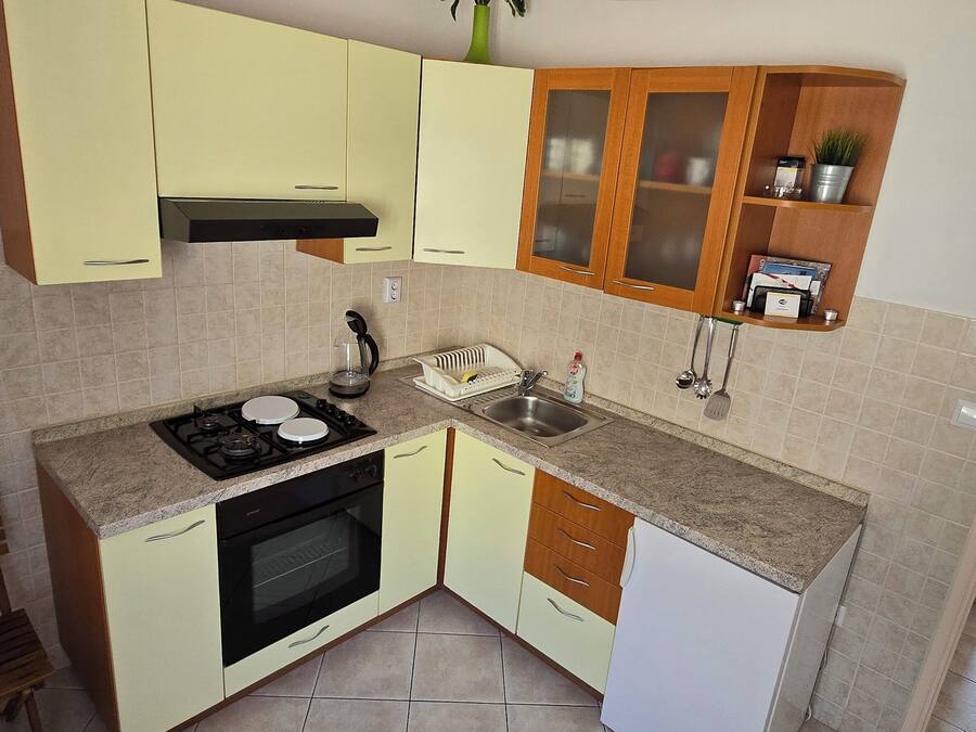A compact kitchen with a gas stove, oven, and a sink. There are cabinets with glass doors and a small shelf with a plant.