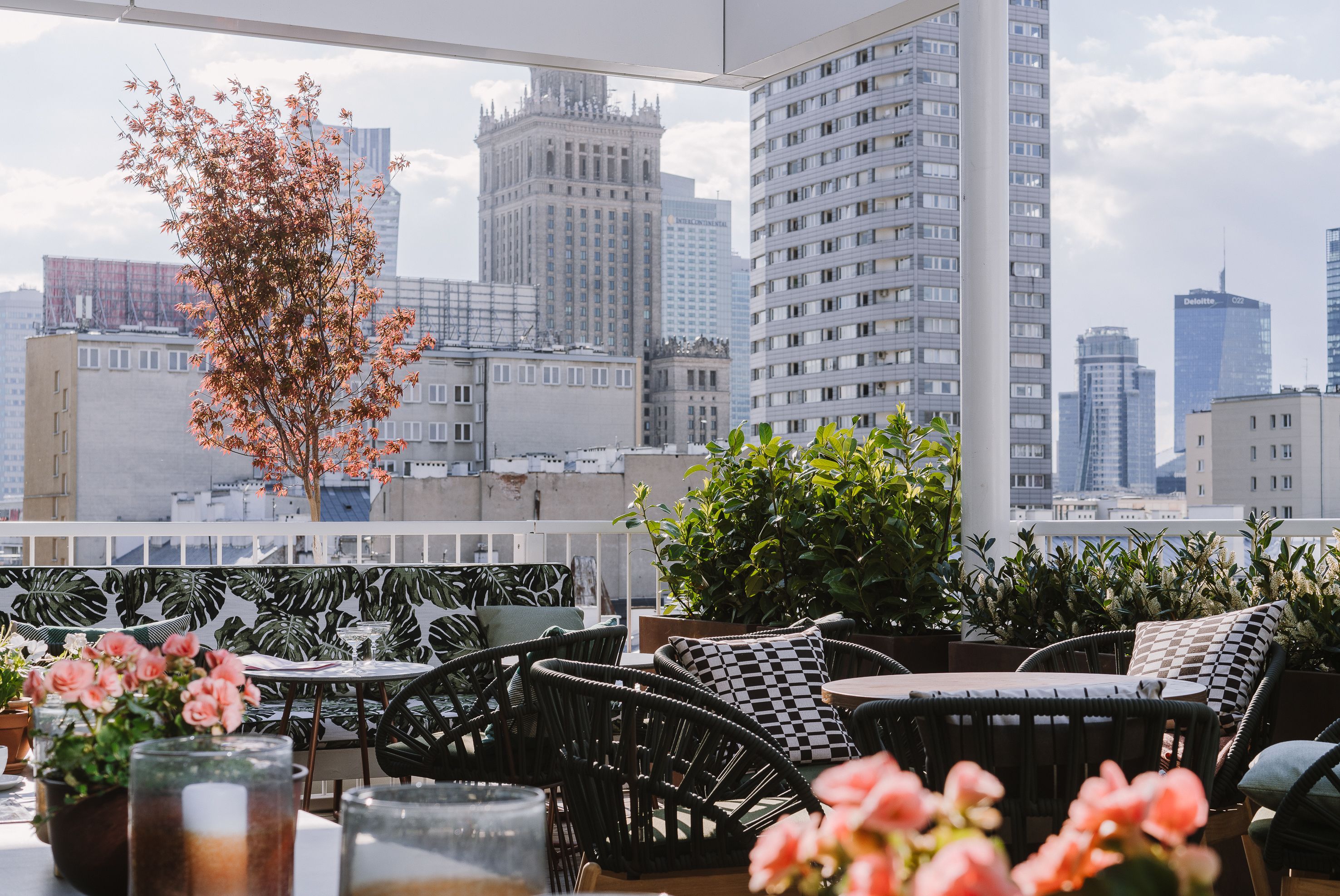 Bar (en la propiedad)