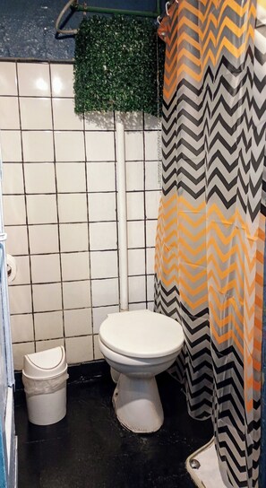 Apartamento clásico, 1 habitación, no fumadores, baño privado | Baño | Ducha, cabezal de ducha tipo lluvia, toallas y jabón