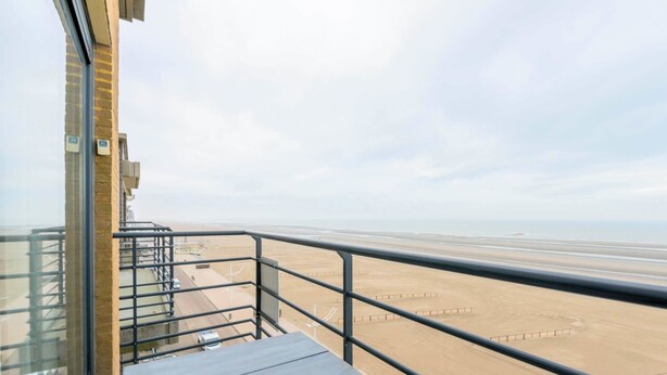 Unclassified image, 1 of 15, button - Les Petrels 601 (Koksijde)