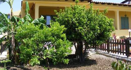 B&B Terra del Sole