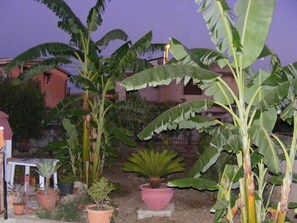 Jardin