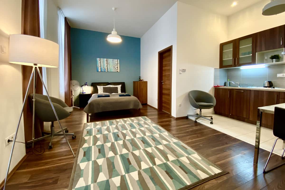 Standard Apartment | 1 bedroom, laptop workspace, blackout drapes, soundproofing