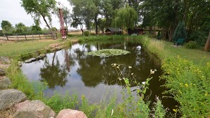 A pond with lily pads, surrounded by rocks and greenery. - Pension Weidemühle (Kelbra)
