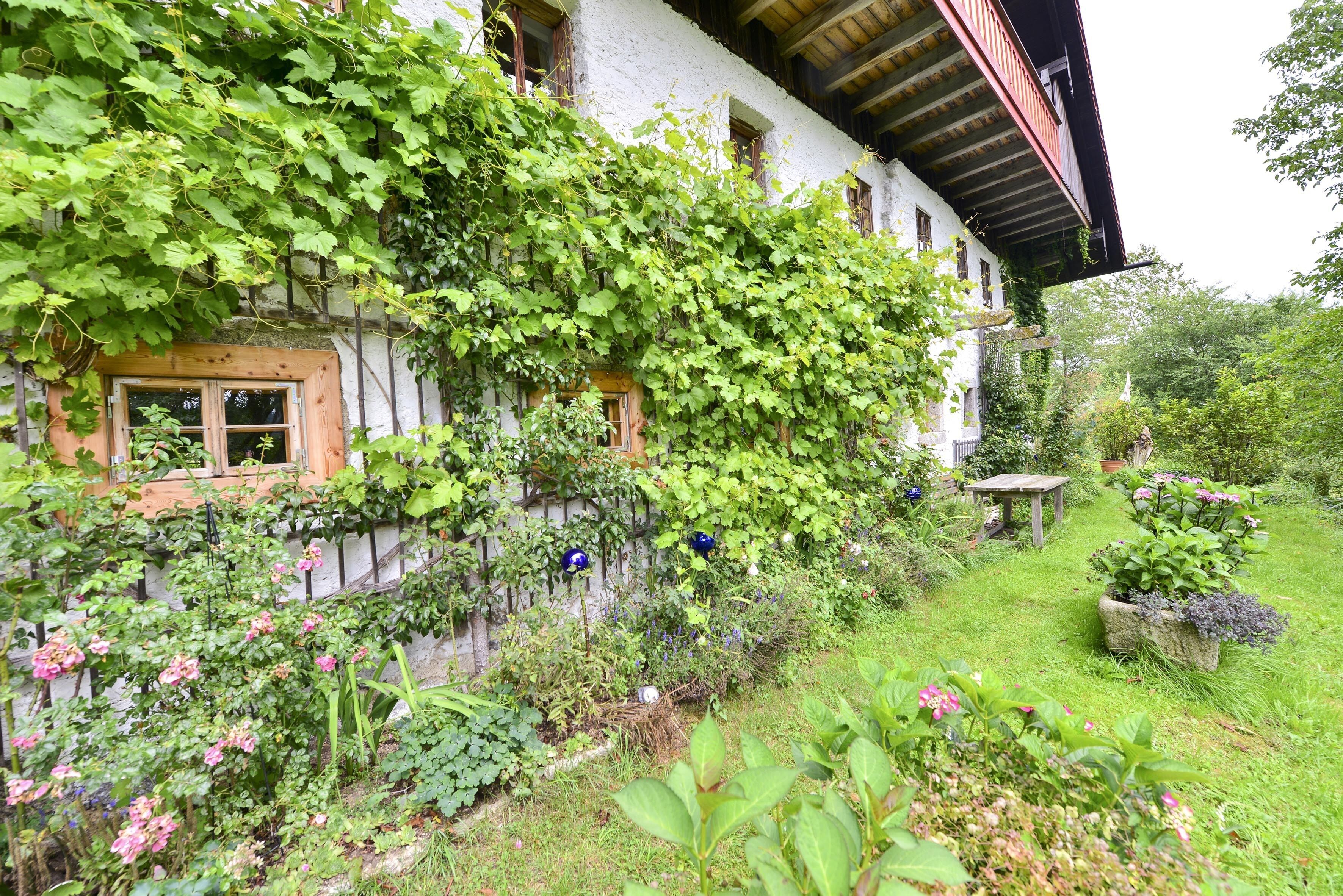 A traditional house with ivy-covered walls, a wooden bench, and a garden with various plants and flowers.