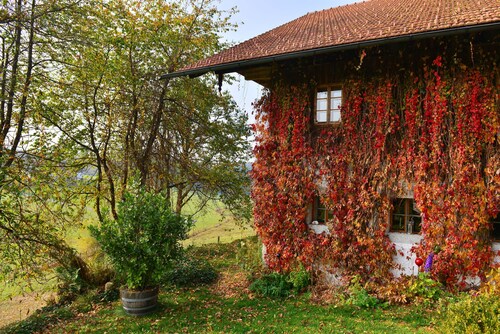 Hofatelier Menacher Klassikgalerie - 63 sqm studio with gallery and balcony