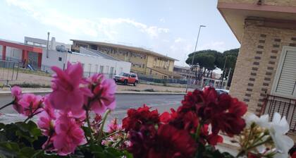 Thomas'home