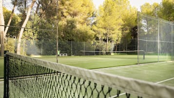Een tennisbaan met een net, omringd door bomen.