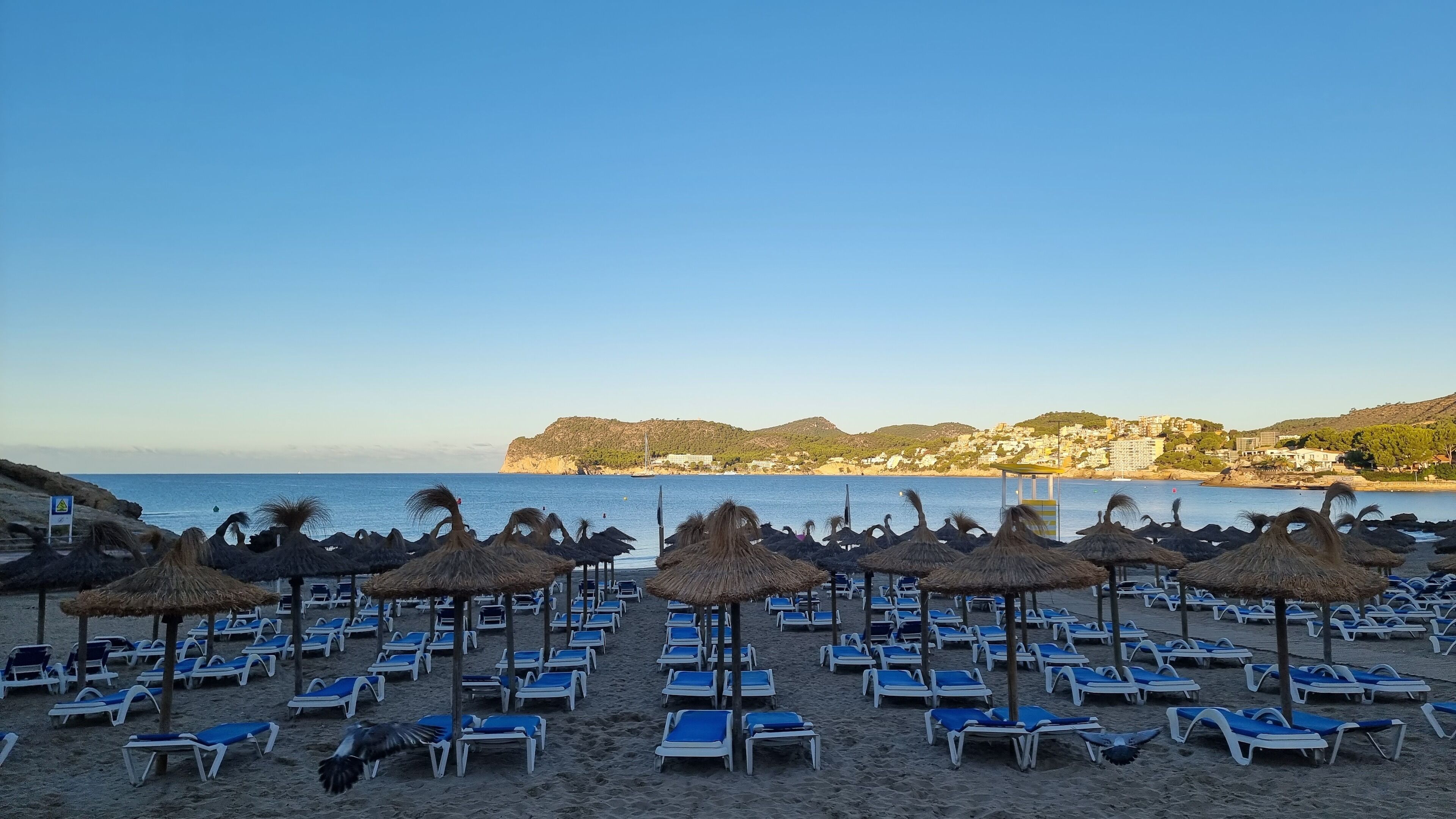 Photo - Hapimag Resort Paguera