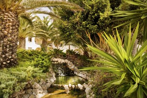 Un exuberante jardín con un pequeño estanque, rodeado de diversas plantas y un muro de piedra.