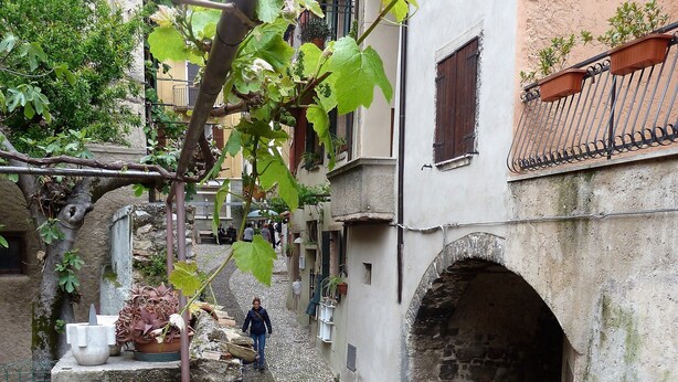 Un estrecho callejón con suelo adoquinado, un pequeño arco y cactus en macetas a lo largo del sendero.