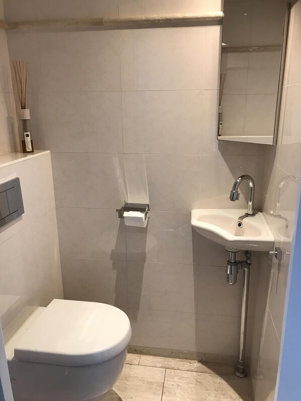 A compact bathroom with a white toilet, a sink, and a mirror above it. - FH with beautiful view, outdoor sauna and outdoor whirlpool (Makkum)