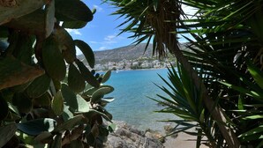 A pathway leading to a coastal area with cacti and palm plants. - Villa Portomare (Markopoulo Mesogaias)