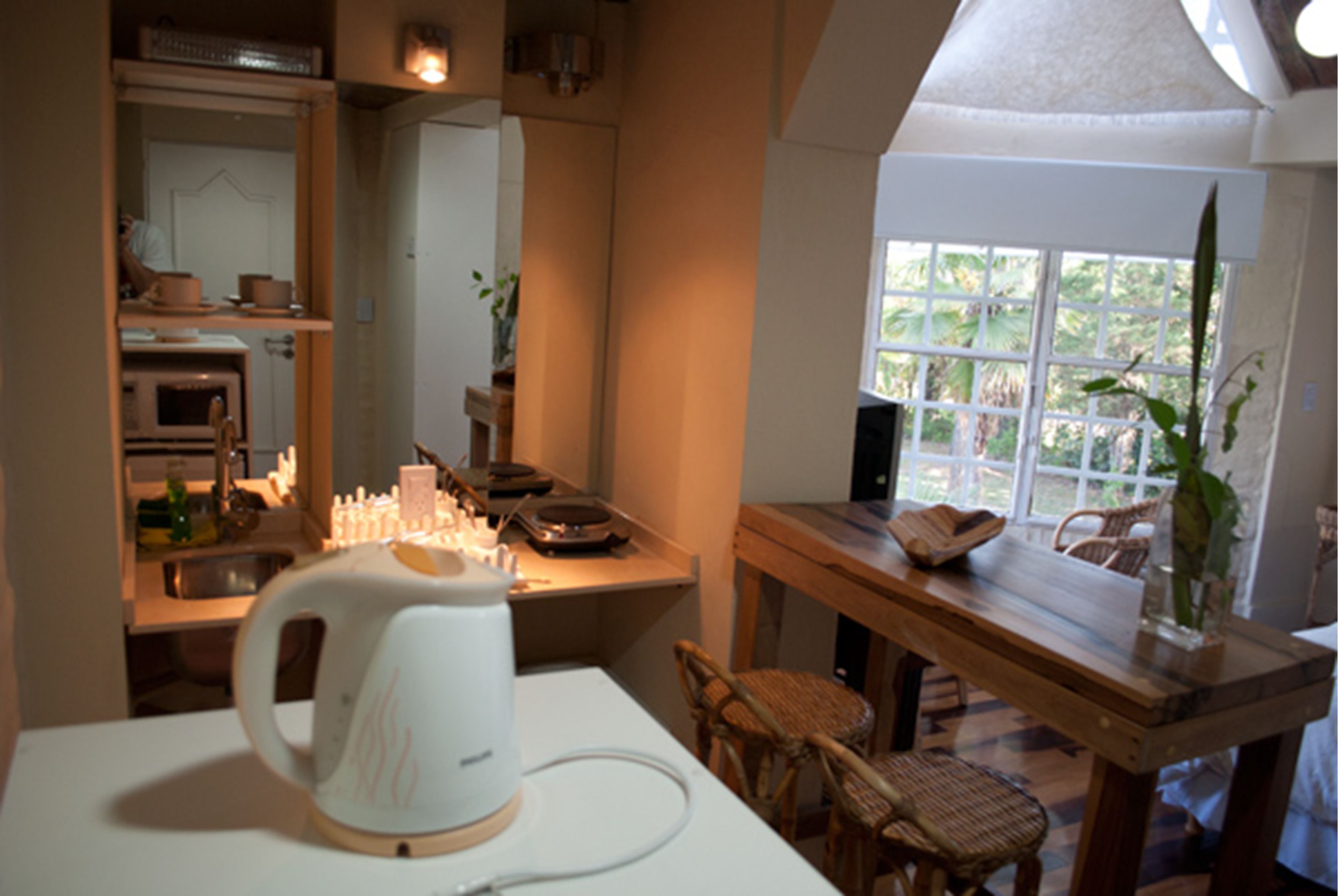 Apartment, Garden View | Private kitchenette | Microwave, oven, coffee/tea maker, electric kettle