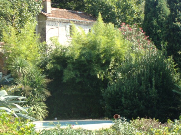 Et hus omgivet af frodig vegetation, en swimmingpool og en have med forskellige planter.