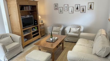 Smart TV, fireplace, DVD player, books
