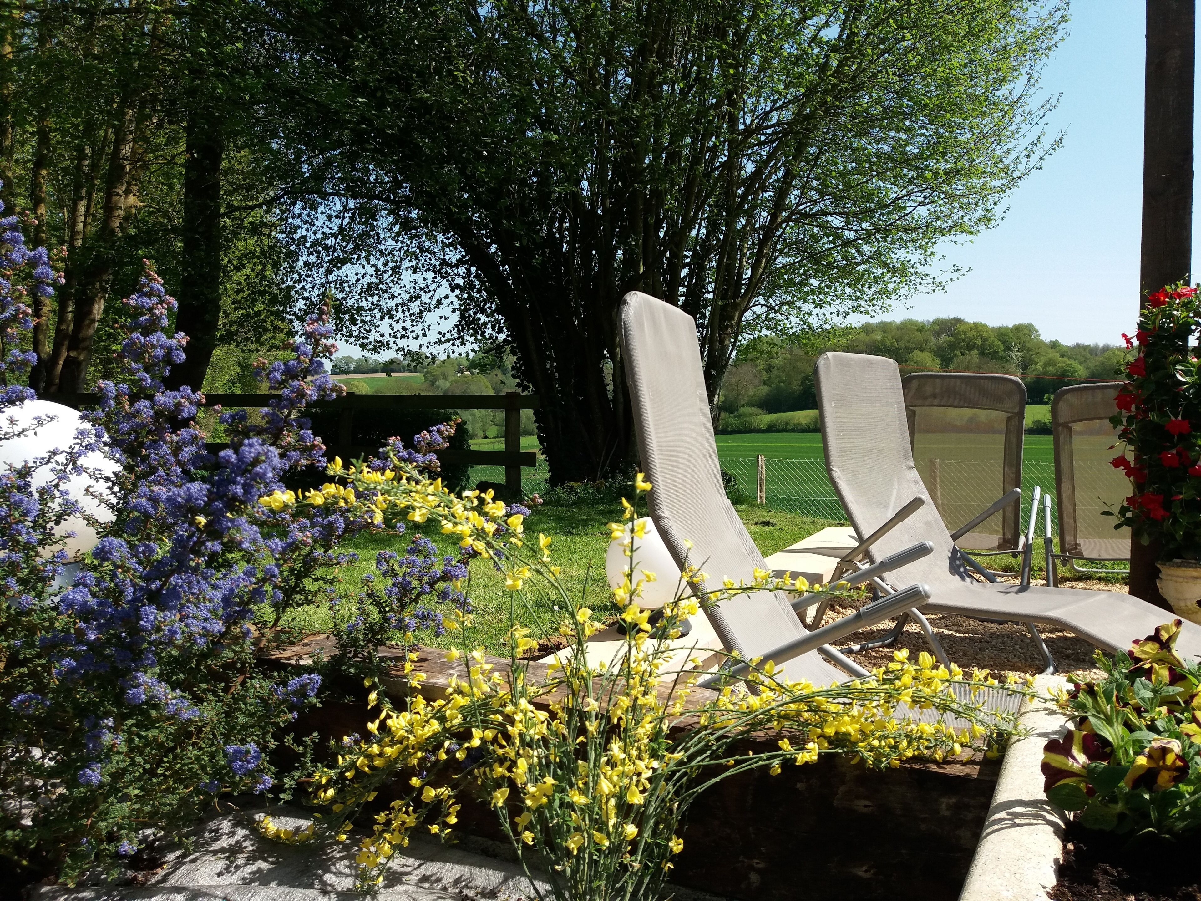 Um jardim com área de estar ao ar livre, uma grande árvore e vista para um campo verde.