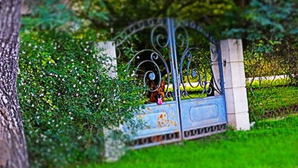 Detalle exterior