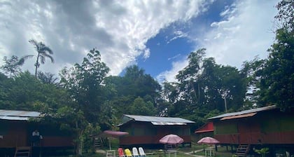 Amazon Queen Lodge