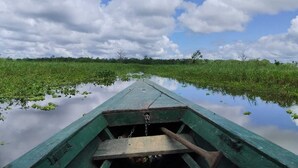 A green boat on calm water with a clear sky and clouds.