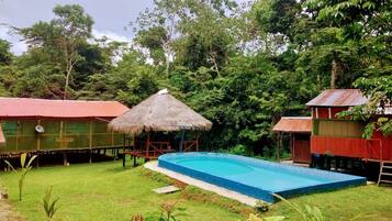A swimming pool surrounded by lush greenery and simple wooden structures with thatched roofs.