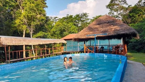 A swimming pool with a thatched-roof structure in the background.