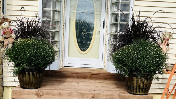 A house entrance with a wooden porch, a decorative glass door, and two potted plants.