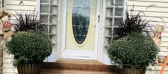 Nice Cape Cod home near the Mississippi River (Scenic River Inn)