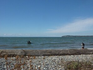 Tumbonas y toallas de playa