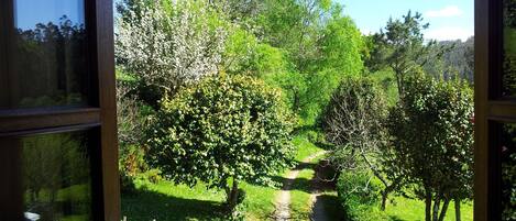 Vista a través de una ventana de un jardín con un sendero, árboles y cielo despejado.