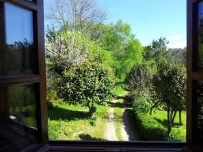 Vista desde la habitación