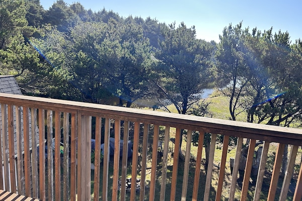 Terrain de l’hébergement