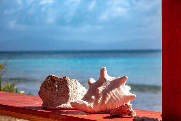 Two seashells on a wooden railing with a view of the ocean and sky.