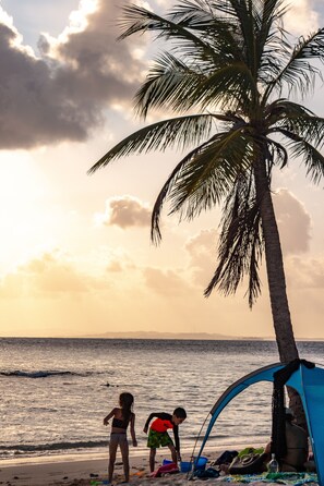 A beach scene with a tent and palm tree. - Explora San Blas (Panama City)