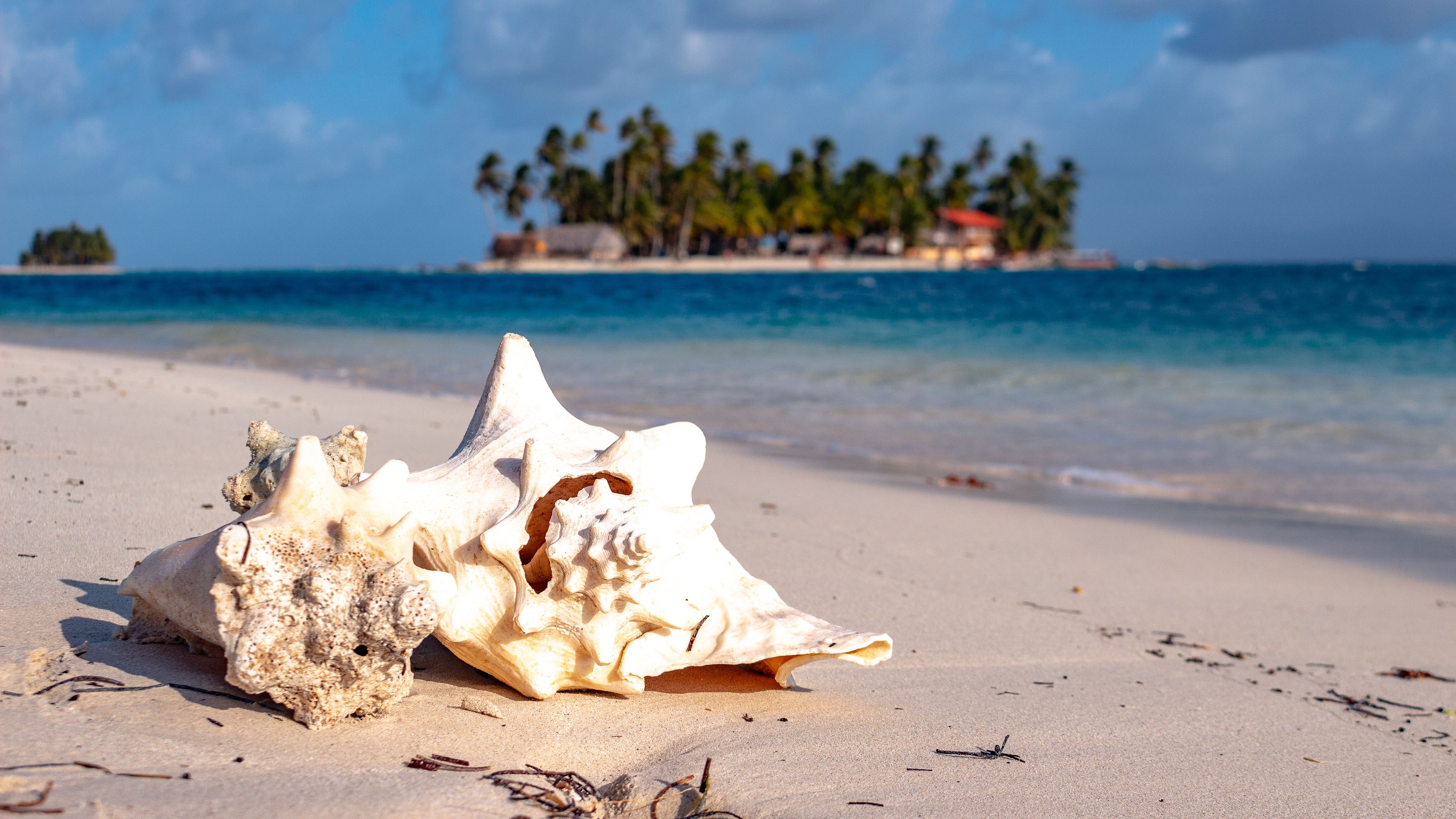 Utsikt mot strand/hav