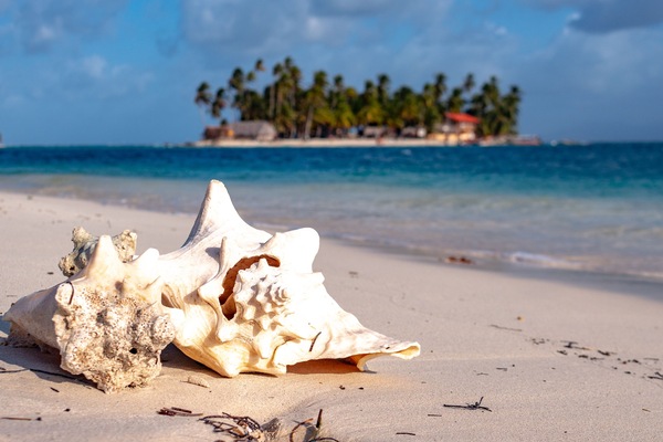 Vista para praia/oceano