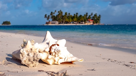Vista a la playa o al mar. Explora San Blas